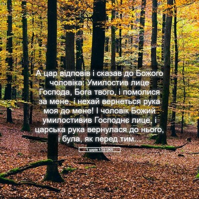 Picture 05 - 1 царів 13:6 UKR - А цар відповів і сказав до - Bible Verse Picture