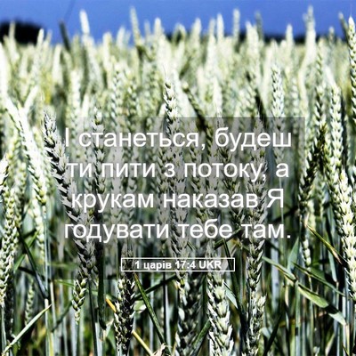 Picture 05 - 1 царів 17:4 UKR - І станеться, будеш ти пити - Bible Verse Picture