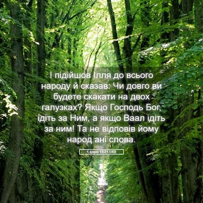 Picture 05 - 1 царів 18:21 UKR - І підійшов Ілля до всього - Bible Verse Picture