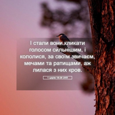 Picture 05 - 1 царів 18:28 UKR - І стали вони кликати - Bible Verse Picture