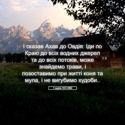 Picture 05 - 1 царів 18:5 UKR - І сказав Ахав до Овдія: Іди - Bible Verse Picture