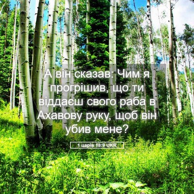 Picture 05 - 1 царів 18:9 UKR - А він сказав: Чим я - Bible Verse Picture