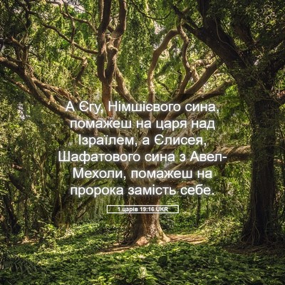 Picture 05 - 1 царів 19:16 UKR - А Єгу, Німшієвого сина, - Bible Verse Picture