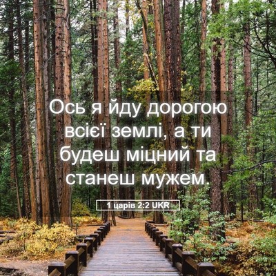 Picture 05 - 1 царів 2:2 UKR - Ось я йду дорогою всієї - Bible Verse Picture