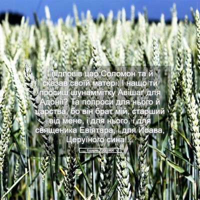 Picture 05 - 1 царів 2:22 UKR - І відповів цар Соломон та й - Bible Verse Picture