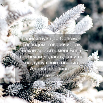 Picture 05 - 1 царів 2:23 UKR - І присягнув цар Соломон - Bible Verse Picture