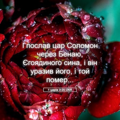 Picture 05 - 1 царів 2:25 UKR - І послав цар Соломон через - Bible Verse Picture