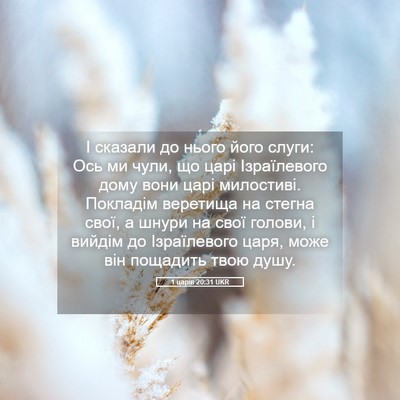 Picture 05 - 1 царів 20:31 UKR - І сказали до нього його - Bible Verse Picture