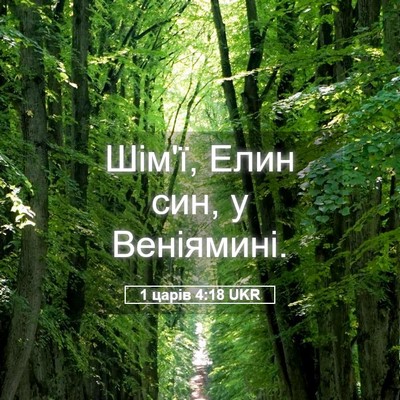 Picture 05 - 1 царів 4:18 UKR - Шім'ї, Елин син, у - Bible Verse Picture