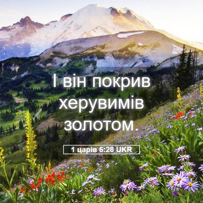 Picture 05 - 1 царів 6:28 UKR - І він покрив херувимів - Bible Verse Picture
