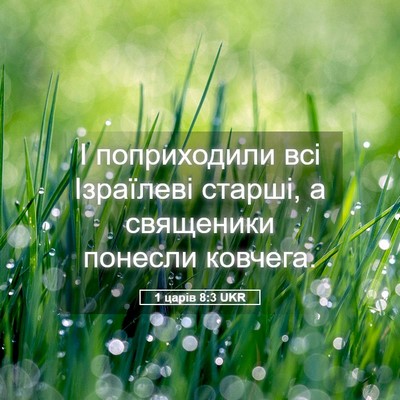 Picture 05 - 1 царів 8:3 UKR - І поприходили всі - Bible Verse Picture