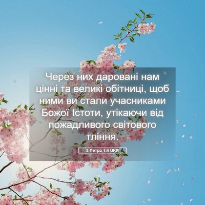 Picture 05 - 2 Петра 1:4 UKR - Через них даровані нам - Bible Verse Picture