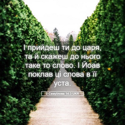Picture 05 - 2 Самуїлова 14:3 UKR - І прийдеш ти до царя, та й - Bible Verse Picture