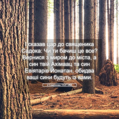 Picture 05 - 2 Самуїлова 15:27 UKR - І сказав цар до священика - Bible Verse Picture