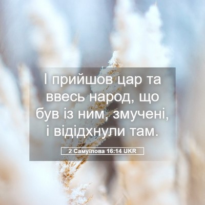 Picture 05 - 2 Самуїлова 16:14 UKR - І прийшов цар та ввесь - Bible Verse Picture