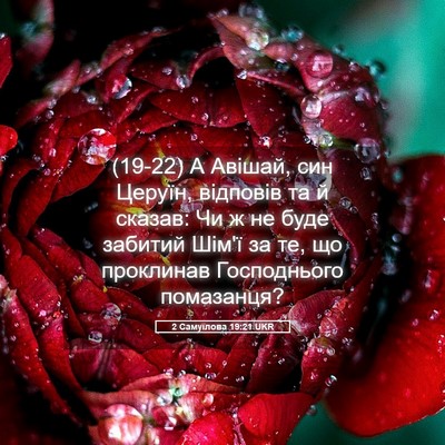 Picture 05 - 2 Самуїлова 19:21 UKR - (19-22) А Авішай, син Церуїн, - Bible Verse Picture
