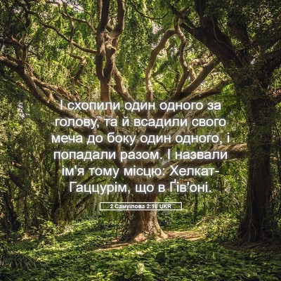 Picture 05 - 2 Самуїлова 2:16 UKR - І схопили один одного за - Bible Verse Picture
