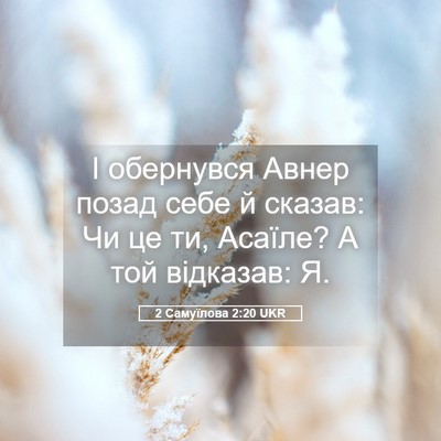 Picture 05 - 2 Самуїлова 2:20 UKR - І обернувся Авнер позад - Bible Verse Picture