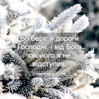 Picture 05 - 2 Самуїлова 22:22 UKR - Бо беріг я дороги Господні, - Bible Verse Picture