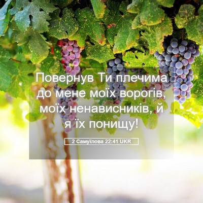 Picture 05 - 2 Самуїлова 22:41 UKR - Повернув Ти плечима до - Bible Verse Picture