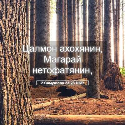 Picture 05 - 2 Самуїлова 23:28 UKR - Цалмон ахохянин, Магарай - Bible Verse Picture
