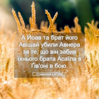 Picture 05 - 2 Самуїлова 3:30 UKR - А Йоав та брат його Авішай - Bible Verse Picture
