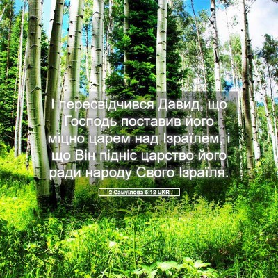 Picture 05 - 2 Самуїлова 5:12 UKR - І пересвідчився Давид, що - Bible Verse Picture