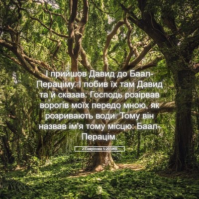 Picture 05 - 2 Самуїлова 5:20 UKR - І прийшов Давид до - Bible Verse Picture