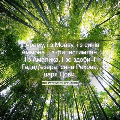 Picture 05 - 2 Самуїлова 8:12 UKR - з Араму, і з Моаву, і з синів - Bible Verse Picture