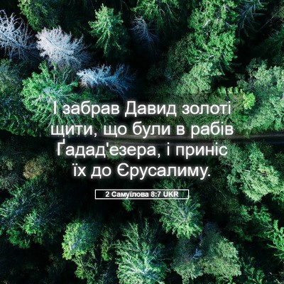 Picture 05 - 2 Самуїлова 8:7 UKR - І забрав Давид золоті щити, - Bible Verse Picture