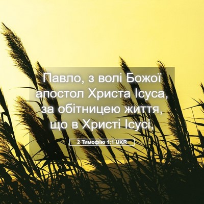 Picture 05 - 2 Тимофію 1:1 UKR - Павло, з волі Божої апостол - Bible Verse Picture