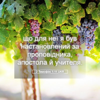 Picture 05 - 2 Тимофію 1:11 UKR - що для неї я був - Bible Verse Picture