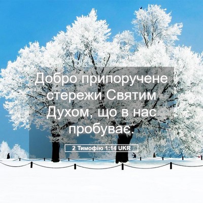 Picture 05 - 2 Тимофію 1:14 UKR - Добро припоручене стережи - Bible Verse Picture
