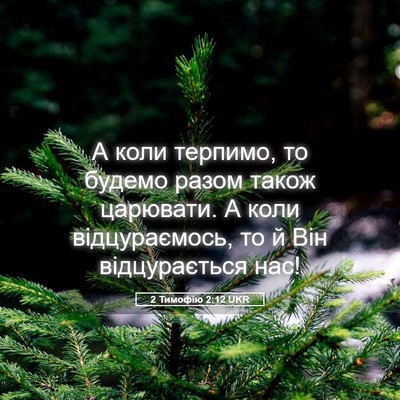 Picture 05 - 2 Тимофію 2:12 UKR - А коли терпимо, то будемо - Bible Verse Picture