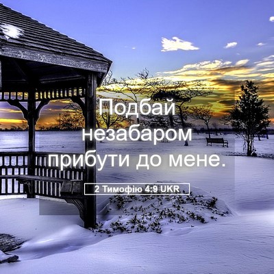 Picture 05 - 2 Тимофію 4:9 UKR - Подбай незабаром прибути - Bible Verse Picture