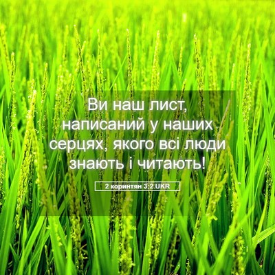 Picture 05 - 2 коринтян 3:2 UKR - Ви наш лист, написаний у - Bible Verse Picture