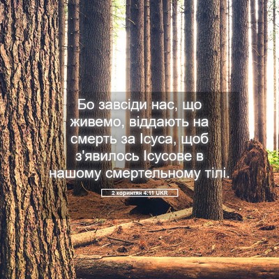 Picture 05 - 2 коринтян 4:11 UKR - Бо завсіди нас, що живемо, - Bible Verse Picture