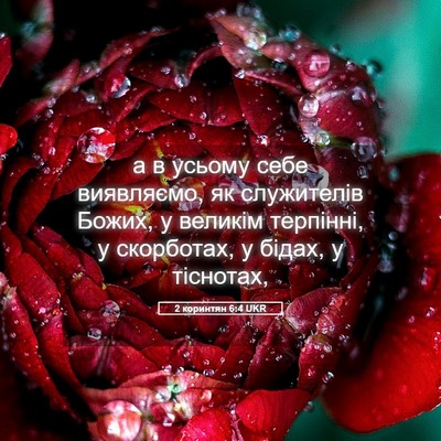Picture 05 - 2 коринтян 6:4 UKR - а в усьому себе виявляємо, - Bible Verse Picture