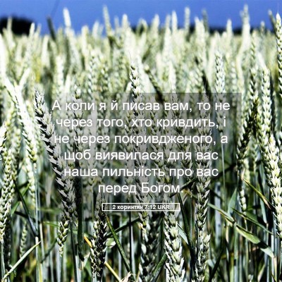 Picture 05 - 2 коринтян 7:12 UKR - А коли я й писав вам, то не - Bible Verse Picture