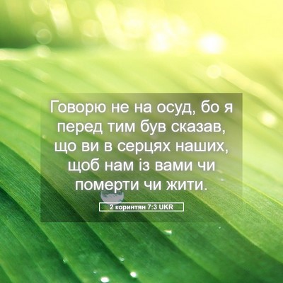 Picture 05 - 2 коринтян 7:3 UKR - Говорю не на осуд, бо я - Bible Verse Picture