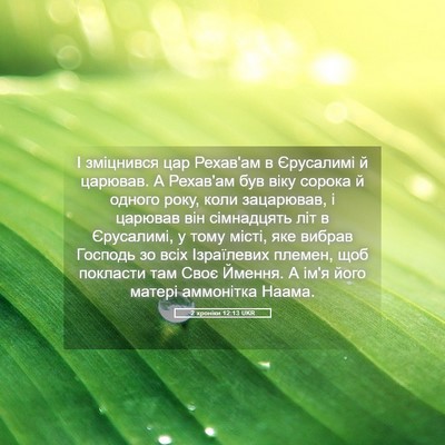 Picture 05 - 2 хроніки 12:13 UKR - І зміцнився цар Рехав'ам в - Bible Verse Picture