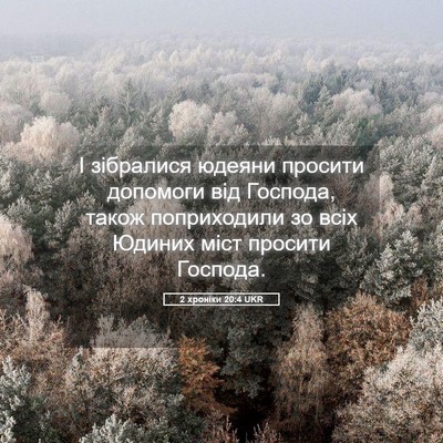 Picture 05 - 2 хроніки 20:4 UKR - І зібралися юдеяни просити - Bible Verse Picture