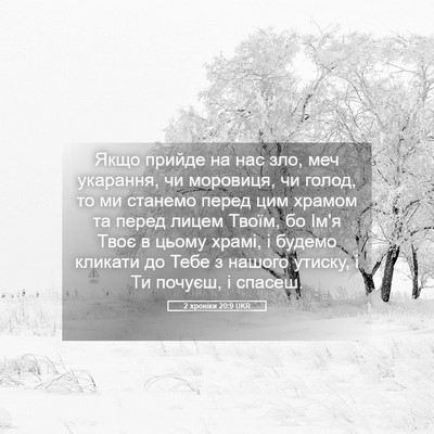 Picture 05 - 2 хроніки 20:9 UKR - Якщо прийде на нас зло, меч - Bible Verse Picture