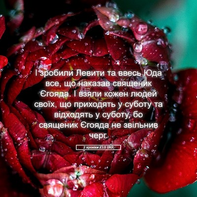 Picture 05 - 2 хроніки 23:8 UKR - І зробили Левити та ввесь - Bible Verse Picture