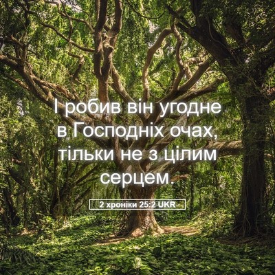 Picture 05 - 2 хроніки 25:2 UKR - І робив він угодне в - Bible Verse Picture