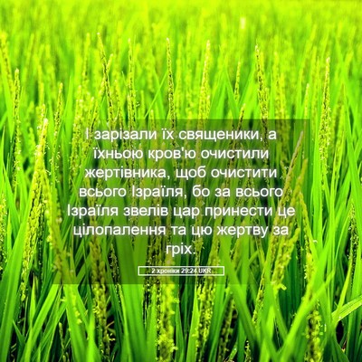 Picture 05 - 2 хроніки 29:24 UKR - І зарізали їх священики, а - Bible Verse Picture