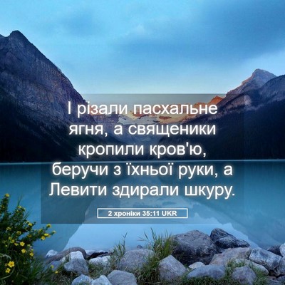 Picture 05 - 2 хроніки 35:11 UKR - І різали пасхальне ягня, а - Bible Verse Picture