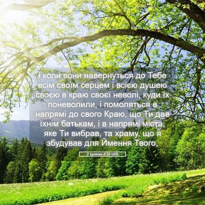 Picture 05 - 2 хроніки 6:38 UKR - і коли вони навернуться до - Bible Verse Picture