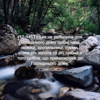 Picture 05 - 2 царів 12:13 UKR - (12-14) Тільки не робилися для - Bible Verse Picture