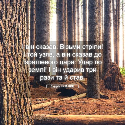 Picture 05 - 2 царів 13:18 UKR - І він сказав: Візьми - Bible Verse Picture